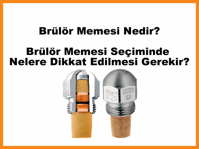 Brlr Memesi Nedir, Brlr Memesi Seiminde Nelere Dikkat Edilmesi Gerekir?